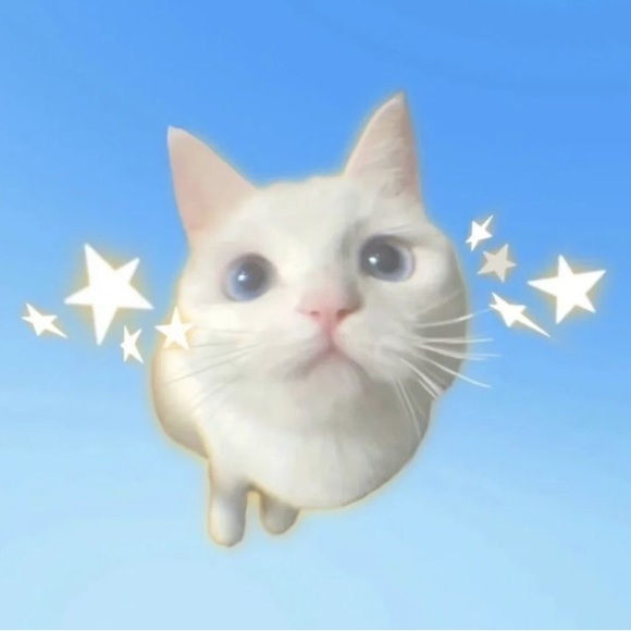 Meet your Posher, Rin - Picture 1 of 1